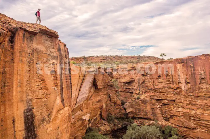 Environmental conservation on Australian beaches Scenic coastal trails and hikes Dolphin and whale watching in Australia Australian sunsets and beach experiences