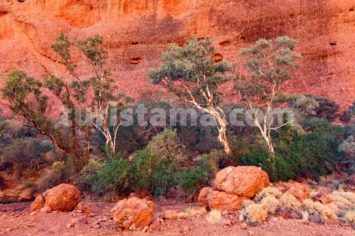 Gourmet dining in Australia Tasting local and regional specialties Iconic Australian dishes and flavors Culinary tourism in Australia