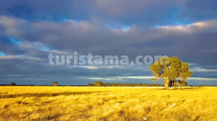 Geological formations in Australian wilderness Wildlife encounters in natural Australian settings Scenic views and photography in Australia