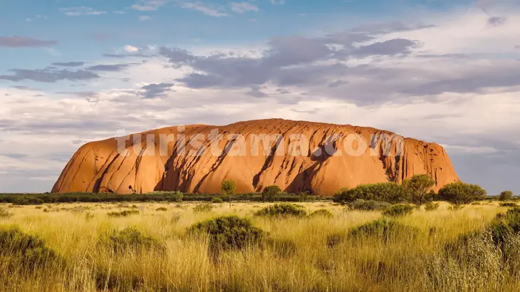 Outdoor adventures in Australian parks Exploring Australian rainforests Coastal beauty in Australian national parks